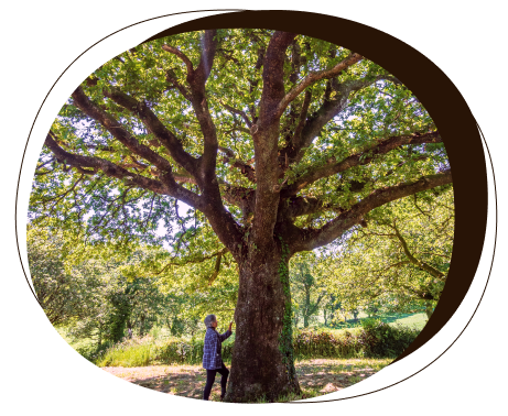 Persona de pie junto a un árbol