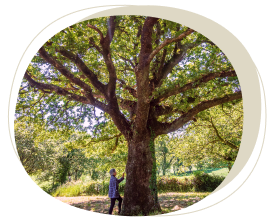 Persona de pie junto a un árbol
