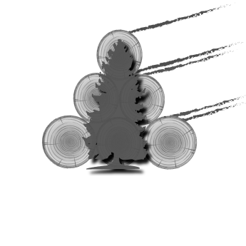 Logotipo de Celtis Enxeñería